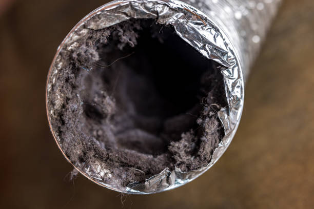 Best Air Duct Cleaning Near Me  in Moraga, CA